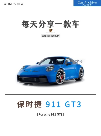 新车网官方下载,实践验证解释定义_GT_v2.846
