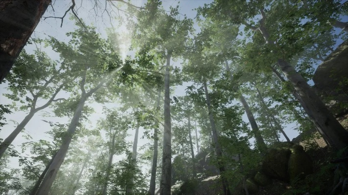 森林0.62官方下载,实地数据评估执行_Essential_v1.857