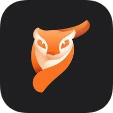 小狐狸下载官方下载,专业问题执行-专业款1_v7.671