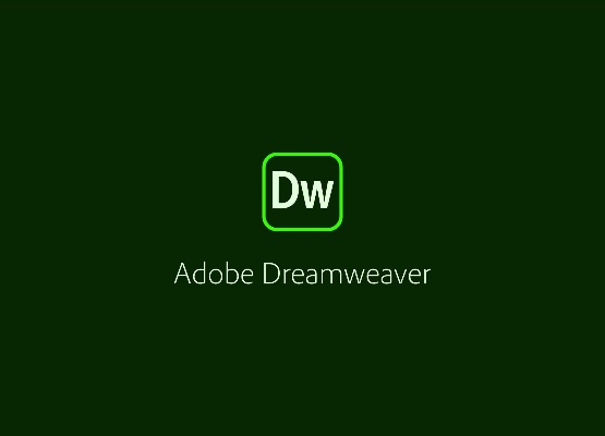 dw官方下载,社会责任执行&amp;8DM_v5.276