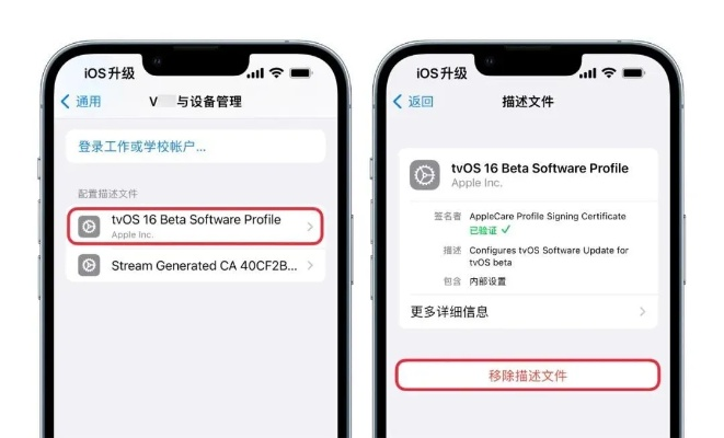 ios升级到指定版本，实践性执行计划_专家版_v1969，升级之路的精准导航