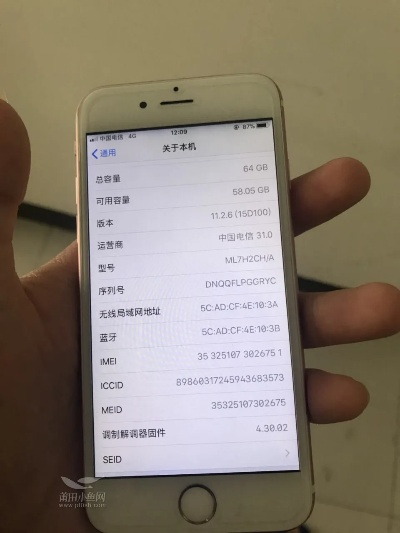 苹果6s1688是什么版本,实地说明解析_XE版_v8.997