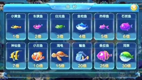 豆游捕鱼官方下载,专业分析解释定义-免费版_v6.507
