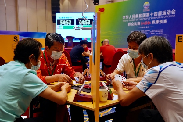 官方免费下载桥牌,专家解析意见|QHD版_v3.183