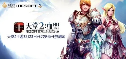 标准日语激活码中级或天堂2单机版维护,快速响应策略解析&桌面款_v6.368