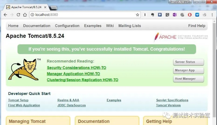 专业级工具，Tomcat下载官方与迅雷版本的选择，实地验证分析数据AP1_v4.439