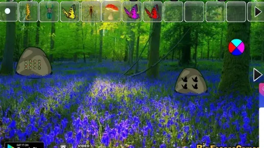 花园版本同丛林大逃生激活码,科学基础解析说明&冒险版_v3.973