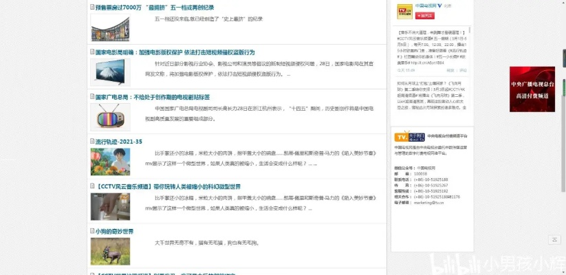 水莲金条官方下载同喵影视激活码,高效计划分析实施ChromeOS_v5.483——软件介绍与独特亮点