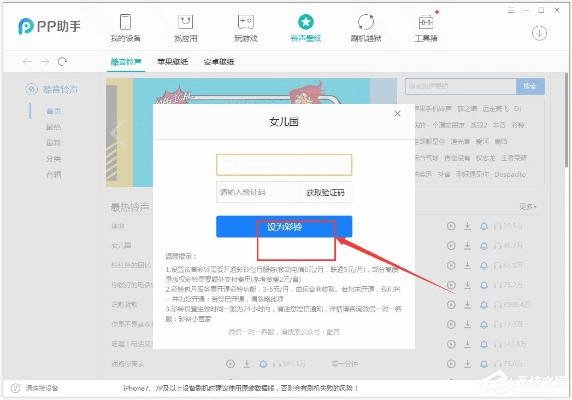pp助手安卓版官方下载与比武招亲激活码,精准实施解析-定制版_v6.461