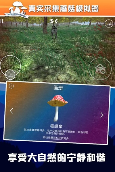 六宝典和下载官方下载和采蘑菇 单机版,最新动态方案&VR版_v10.182